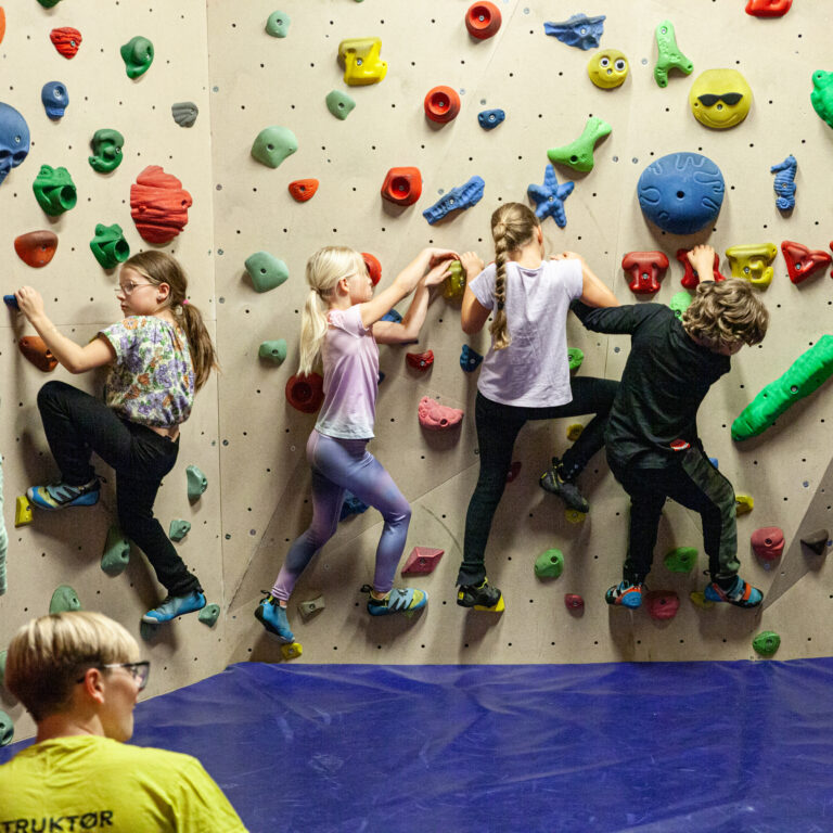 Barnebursdag med klatring